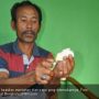 Wow ! Muntahan Ikan Paus Ditawar Rp 3,3 Miliar, Nelayan Bengkulu Ini Susah Tidur