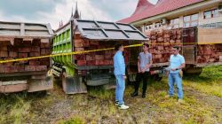 Sat Reskrim Polres Solok Selatan Amankan 176 Batang Kayu Balok Pada Operasi Ilegal Logging Selatan 2022