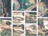 PETI Marak di Pasaman Barat, Setoran ke Oknum Aparat Lancar