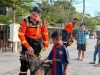 Main Bareng Warga Dan Anak anak, Satwa K-9 Polri Bantu Pulihkan Gempa NTT