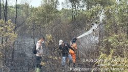 Kebakaran Lahan Gambut Seluas 1 Hektare di Depan Stadion Mahmud Jalal, Polisi Selidiki Sumber Api