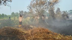 Penyekatan & Penyiraman Intensif: Strategi Cegah Perluasan Api di Rimbo Panjang