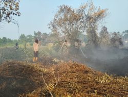Penyekatan & Penyiraman Intensif: Strategi Cegah Perluasan Api di Rimbo Panjang