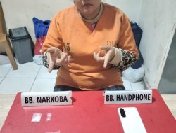Jual Sabu-sabu di Desa Bukit Kemuning, Seorang IRT Diringkus Satresnarkoba