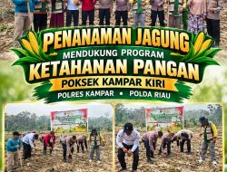 Dukung Swasembada Pangan 2026, Kapolsek Kampar Kiri Bersama Kelompok Tani Toeroba Berkah Tanam Jagung