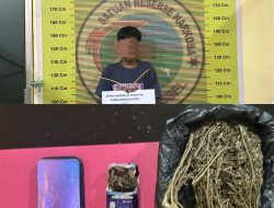 Garda Terdepan Berantas narkoba,Polres Pessel Kembali Ungkap Peredaran Narkoba di Sutera